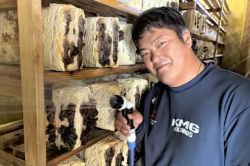 元ソフトバンク・中原大樹さん　糸島市できくらげ農家になっていた「年商２億円を目指したい」