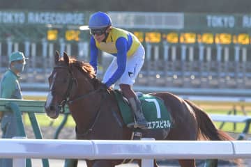 エアスピネル「重賞3勝のオールラウンダーが与えられた新たな役割」【もうひとつの引退馬伝説】