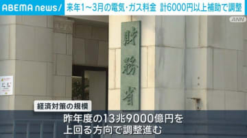 来年1～3月の電気・ガス料金 計6000円以上補助で調整