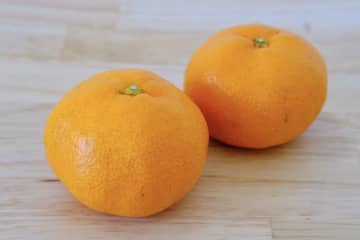 松坂桃李が絶賛　平野レミ考案の“みかんごはん”が予想外のおいしさ