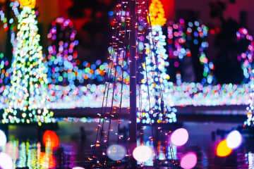 「ひとりぼっち」の年末年始も怖くない。禅僧・枡野俊明さんが教える「禅」と心の拠り所の作り方