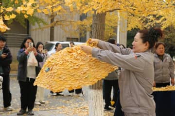 イチョウの落ち葉でキャンパスを彩る　中国・大連市