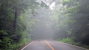 秋ツーリングの落とし穴！霧に包まれたときライダーが“絶対にやってはいけない”行動とは？