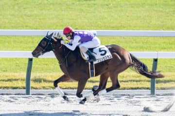 【新馬/京都6R】断然人気プリンセスモコが快勝…北村友は新馬連勝
