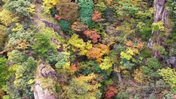 色鮮やかに染まる九華山風景区　中国安徽省