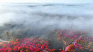 朝霧に包まれた黄土高原　中国陝西省