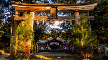 朝日を浴びて、正月飾り～高知市土佐神社・しなね様～ニッポンを歩こう161