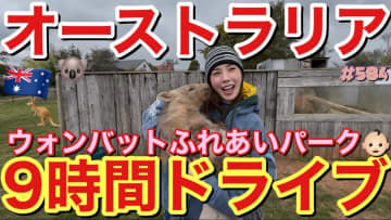 仲里依紗、ウォンバットを抱っこして「まじで癒された……」　見どころ満載のオーストラリア旅行Vlogが公開