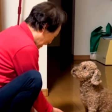 犬を飼うのに反対していたおばあちゃん→いざワンコがお家にやってくると…尊すぎる光景が26万再生「デレデレｗ」「可愛くて仕方ないんだ」