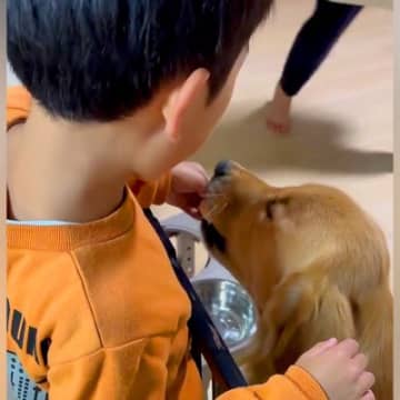 ２人の小学生が『大型犬と一緒に育った』結果→本当の兄弟のようで…心温まる『愛おしい光景』に絶賛の声「大切な家族の一員」「気持ちが和んだ」