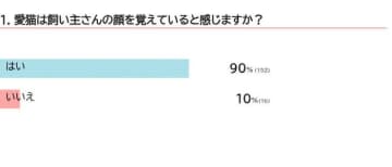 猫は人の顔を覚えられる？どう判別しているのか獣医師に聞いた