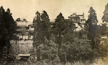 盛岡に息づく虎の伝承、漫画や菓子新商品も　江戸時代初期、藩主が駿府で2頭拝領