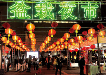 台湾グルメと盆栽がコラボ…埼玉・大宮の公園で「盆栽夜市」　鮮やかなネオンと台湾提灯が光る会場、台湾フードや盆栽展示など並ぶ　16日まで