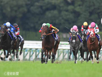 【エリザベス女王杯】②③人気でも掲示板止まり！買ってはいけない馬券とは！？