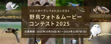 大賞には買い物に使えるポイント5万円分！ ソニーが野鳥の写真・動画を募集「野鳥フォト＆ムービーコンテスト2025」
