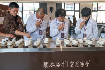 岩茶品評会で「茶王」選出　中国福建省武夷山