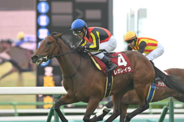 【エリザベス女王杯 見どころ】可憐さの中に輝く強さを見せる女王は、どの馬か