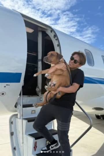 山本由伸、愛犬の名前を“初公開”「カルロス」　SNS更新…「友達はデコピン」