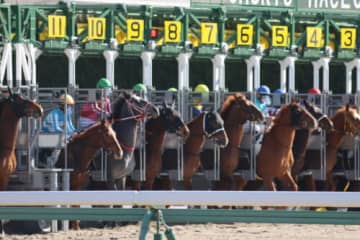 競馬のゲートが開く時の音、実は効果音だった　『競馬』にまつわる雑学4選