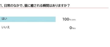 【調査】猫に癒される瞬間はいつ？癒しのしぐさの理由を獣医師が解説