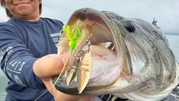 冬に向けてウィードが枯れてくる、それが意味することとは？ ワームでも巻きでも激釣れ中！ ビギナーが釣りを覚えるなら今です