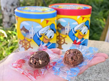 【知らずに買ってた!】ディズニーの『チョコクランチ』は缶と紙箱、どっちを選ぶ? 比較してみた