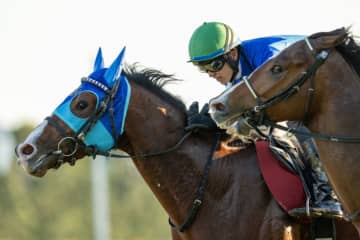 【デイリー杯2歳S】坂井瑠「力通りだと思います」アドマイヤクワッズがデビュー2連勝