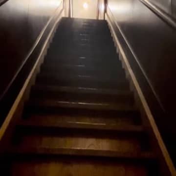 家を購入するときに躊躇した『幽霊が出そうな階段』→猫たちが使うと…17万再生の可愛すぎる光景に「釘付けになった」「素晴らしい眺め」と絶賛