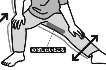 “開脚の女王”が指南！股関節ストレッチで若返り！「筋肉ゆらし」で転倒しにくい体になる！
