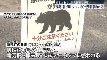 80代男性がクマに襲われる　福島・磐梯町　喜多方市では緊急銃猟による駆除