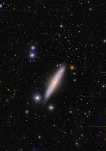 すばる望遠鏡が観測した“りょうけん座”の渦巻銀河「NGC 5301」