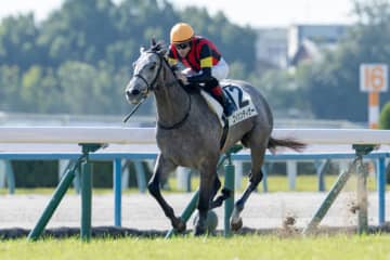 【京都3R】エイシンティザーが初勝利…断然人気アルヴァンドルードは2着