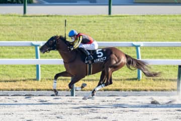 【天橋立S】C.デムーロが本日の4勝目…トリポリタニアで人気に応える