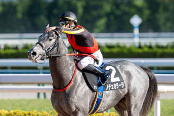 【黄菊賞】C.デムーロ流石の騎乗で6番人気ノチェセラーダがV