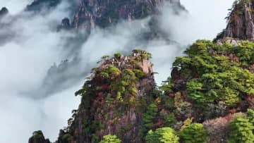 黄山風景区、鮮やかに色づく　中国安徽省