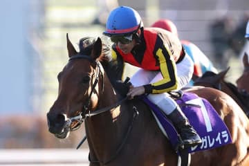 「ため息が出るほど美しい」　京都に降臨した人気女優に競馬ファン騒然　167cmで「顔小さすぎる」