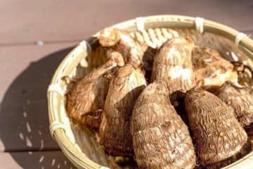 じつは避けたほうがいいかも？野菜のプロが教える里芋のもったいない食べかた