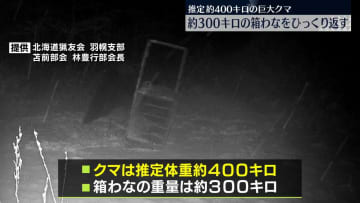 推定体重400キロの巨大クマ　300キロの箱わなひっくり返す