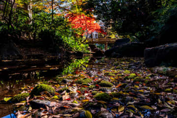 東京再発見　番外編「名主の夢は令和に続く」北区王子・名主の滝公園