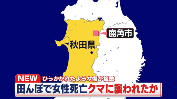 クマに襲われたか　田んぼに倒れた女性…死亡確認　ひっかかれたような傷が複数　秋田・鹿角市