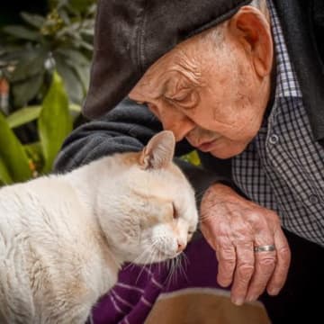 3本足の「セラピー猫」は、きょうも施設のお年寄りを笑顔にする　米国