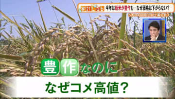 今年は豊作のはずなのに…なぜ続くお米の価格高騰、今後はどうなる? 専門家の見解は?