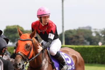 『ザ・ロイヤルファミリー』【中山の直線は短い】ロイヤルホープ、最後の有馬記念に感動「号泣だよ」「鳥肌たった」（ネタバレあり）