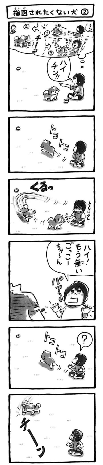 愛犬の“マイペースすぎる”しつけ体験記〜指示とご褒美と時々ベル〜|連載「シーズー犬のてんぽ」第287回