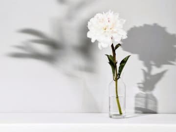 11月17日（月）今日は2つの不運が重なる要注意日！何かするなら、必ずこの時間帯を選んでください