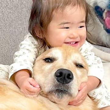 1歳の女の子が大型犬を愛しすぎた結果→激しい愛情表現をしてしまい…あまりにも尊い『寛大すぎる対応』が14万再生「優しい」「幸せいっぱい」