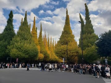 東京・外苑いちょう並木に大勢の人、スポーツ観戦のサポーター姿も