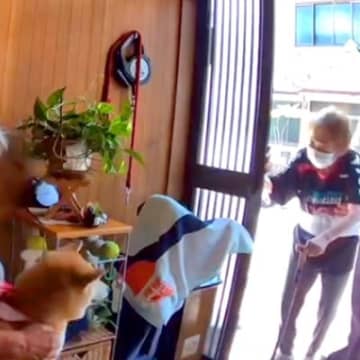 腰の手術をしたおばあちゃん→久々に『犬と再会した』結果…もらい泣きする『素敵すぎる光景』が47万再生「無償の愛…」「足音が最高」と感動