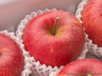 果物のフルーツネット、保存時は外す？つけたまま？　梱包資材メーカーの『おすすめ』は…