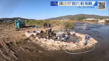 山あいに“クジラの眠る海”があった　庄原市で化石発掘　過去40年で19体…地元有志が掘り続ける【広島発】